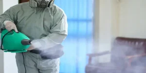 افضل-شركة-تعقيم-بالبخار